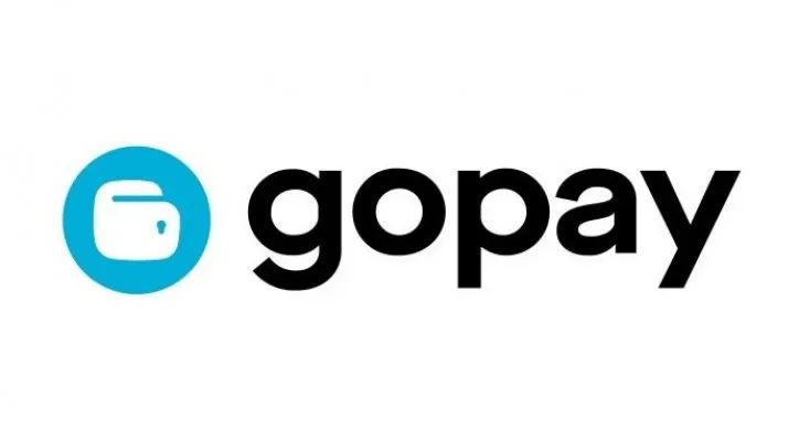 What is the Maximum GoPay Later Limit? Check out the Scheme, Types and How to Upgrade Limits