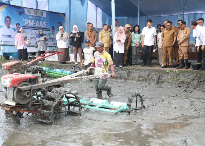Serang City Rice Fields Become National Pilot Project, Agis: Upgraded 10 Tons per Hectare