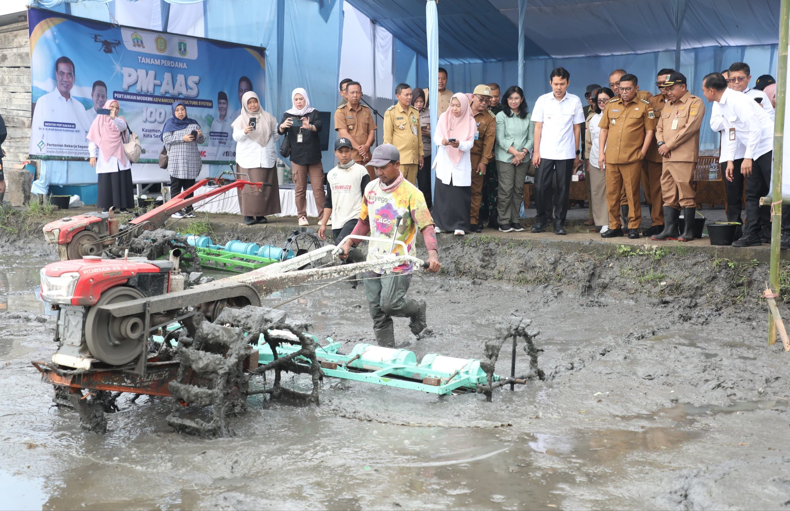 Serang City Rice Fields Become National Pilot Project, Agis: Upgraded 10 Tons per Hectare
